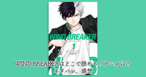 wind breakerはどこで読める？アニメは？ネタバレ、感想