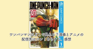ワンパンマンはどこで見れる？漫画とアニメの配信先はコレ！あらすじ、感想